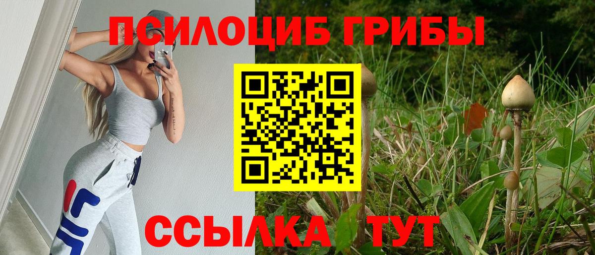 Галлюциногенные грибы ЛСД  Вход с VPN  Ковров  Галлюциногенные грибы мухоморы 